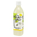 サントリー はちみつレモン ペット 470ml x24 メーカー直送 お中元 ギフト 夏ギフト プレゼント(4)