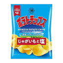 湖池屋 ポテトチップス じゃがいもと塩 60g x12 メーカー直送 お中元 ギフト 夏ギフト プレゼント