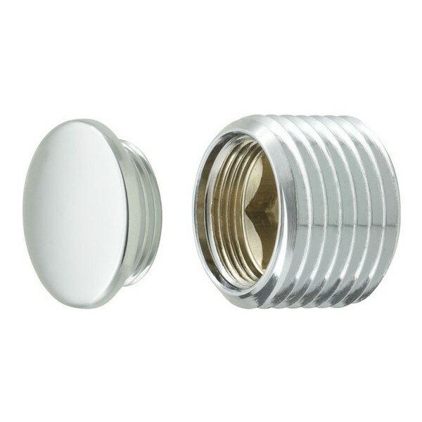 GAONA GA-JL005 [フラットプラグ]