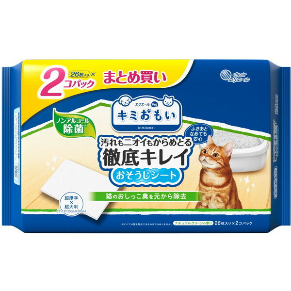 ご注文前にご確認ください※ 商品パッケージや仕様につきまして、予告なく変更されることがございます。商品説明★ ノンアルコール除菌。ナチュラルグリーンの香り。破れにくくてしっかりふける大判厚手のピロータイプ。フロアワイパーにも取り付けられます。★ ふきあとなめても安心。★ 消臭成分カキタンニン配合。ネコちゃんのトイレ臭を除去。ネコちゃんのツンとした排泄臭にニオイのもとから消臭。★ こびりついた汚れもサッとふくだけ!★ 「汚れ落ち・消臭効果・丈夫さ」専用品ならではの仕様満足度。※メーカーの都合により、パッケージ・仕様・成分・生産国等は予告なく変更になる場合がございます。※上記理由でのご返品はお受けできませんので、事前お問合せなどご注意のほど宜しくお願いいたします。スペック* 成分:水、防腐剤、pH調整剤、除菌剤、界面活性剤、消臭剤、香料* 素材:レーヨン、PET、PP、PE