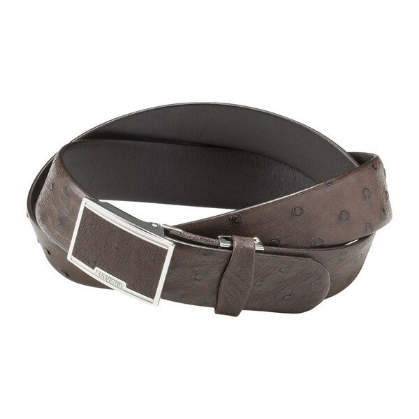 ゴールドファイル オーストリッチベルト チョコ GBC1450