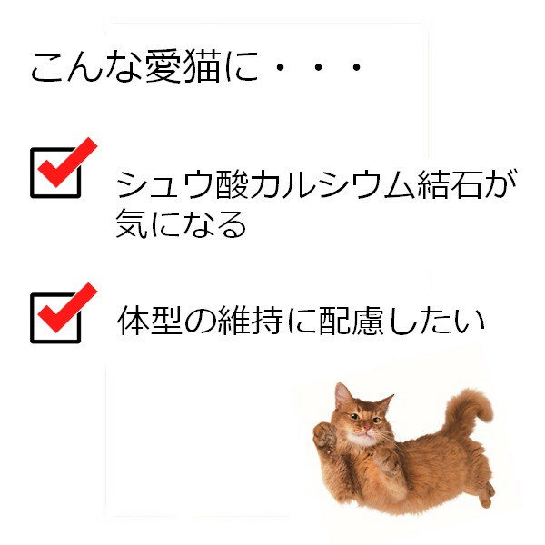 ペットライン JPスタイル 和の究み セレクト...の紹介画像3