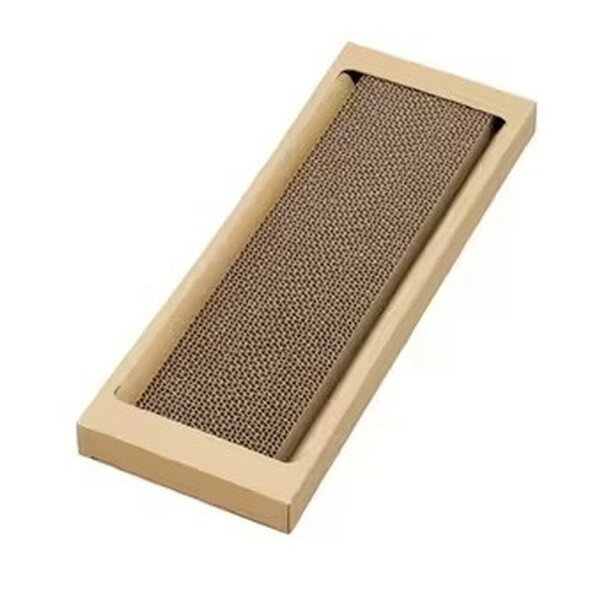 �����ꥹ������� NTST-1P�ʥ����� [ǭ���ޤȤ� ����ॿ����] �᡼����ľ��