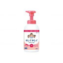 ライオンハイジーン キレイキレイ薬用泡ハンドソープ フルーツミックス 550ml メーカー直送(4)