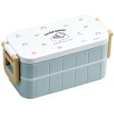スケーター YZW3AG ドラえもん お空さんぽ 弁当箱 2段 600ml 女性向け 抗菌加工