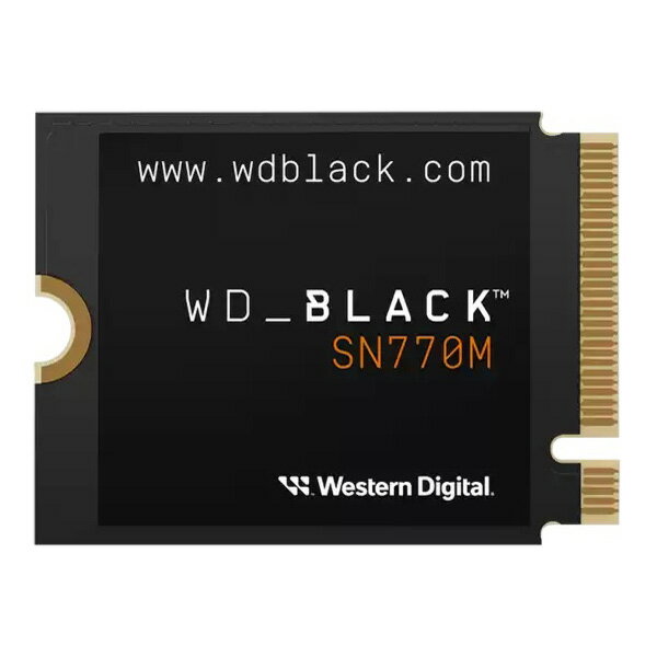 WESTERN DIGITAL WDS200T3X0G WD Black SN770M NVMe SSD [M.2 SSD (2TB)]