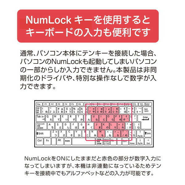 Nakabayashi TNK-SU232W シンプルUSBテンキーボード/ホワイト