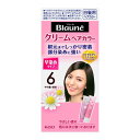 花王 ブローネクリームヘアカラー 6 やや濃い栗色80g