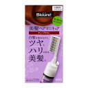 花王 ブローネ美髪ヘアマニキュア ティーブラウン クシ付72g