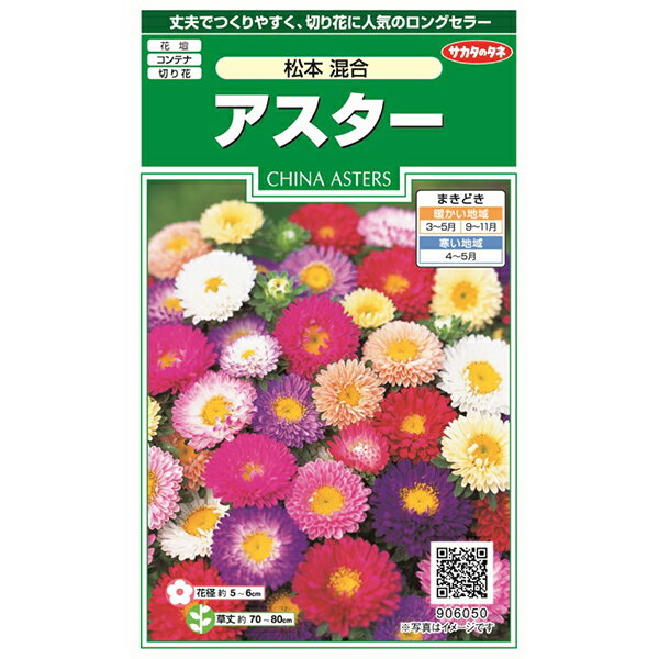 【5/15限定!エントリー&抽選で最大100%Pバック】 ガーデニング アスター 松本混合 種 サカタのタネ 花種 お盆 花の種子 園芸 花壇 庭 タネ フラワーガーデン 鉢植え 種まき メール便 送料無料