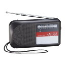 ZENITH もってく・カンタンRadio AFM-25PR