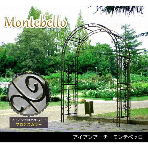 住まいスタイル アイアンアーチ モンテベッロ ブラック SST-IPN-7973 メーカー直送