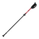 羽立工業 ハタチ グラウンドゴルフ WH1181 62 S DFP ポータブルセクター2 2本組 レッド S