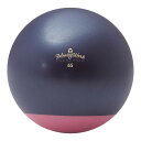 羽立工業 ハタチ グラウンドゴルフ NH3621 ジムボールStayPlus 65cm