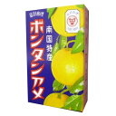 セイカ食品 ボンタンアメ 10粒 x10 メーカー直送 ギフト プレゼント