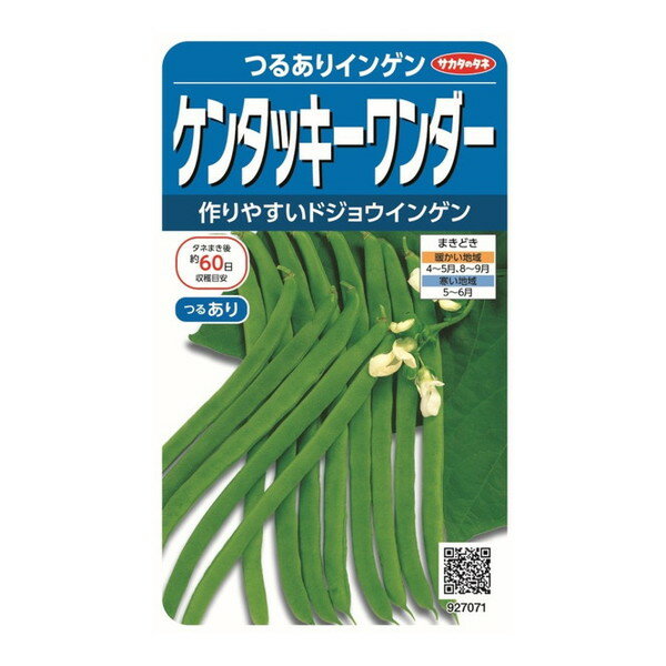 サカタのタネ 野菜種 つるありインゲン ケンタッキーワンダー