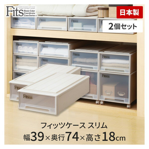 天馬 フィッツケース スリム カプチーノ 2個セット 2個組 衣類 収納 ケース プラスチック fits 衣装ケ..