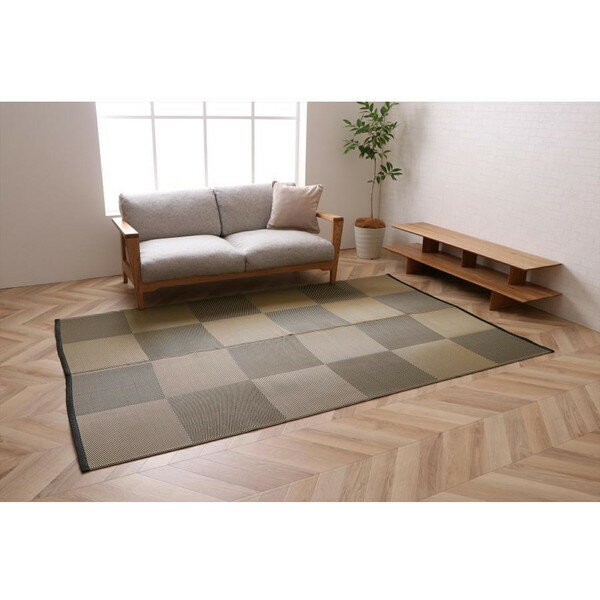 イケヒコ・コーポレーション 1090271031202 洗える ござ 日本製 国産 カーペット 丈夫 除菌スプレー対応 敷詰 ラグ 敷物 ナチュラルスタイル ペット ブラック 江戸間6畳(約261×352cm) メーカー直送