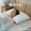 イケヒコ・コーポレーション 1195550013029 枕 カバー付き ふわふわ 肌触り 肌に優しい 安眠 高級 雲枕 洗える 清潔感 約43×63cm メーカー直送