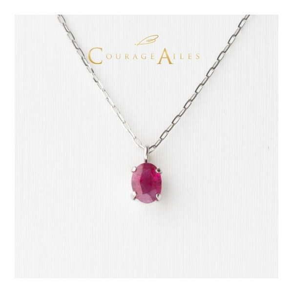 XPRICEŷԾŹ㤨Courage Ailes PDA-2270RU [ͥå쥹 (7 ӡ ŷ 顼ȡ Pt900 Pt850 ץ ڥ лˤ 뺧ˤ ǰ   £ʪ ץ 4] ᡼ľפβǤʤ29,400ߤˤʤޤ