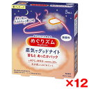 【12個セット】花王 めぐりズム 蒸気でグッドナイト 無香料 5枚入(4)