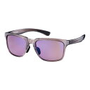 SWANS スワンズ マルチスポーツ ER4-0170 CBR er-4 ULTRA LENS for DRIVINGモデル クリアライトブラウン [サングラス...