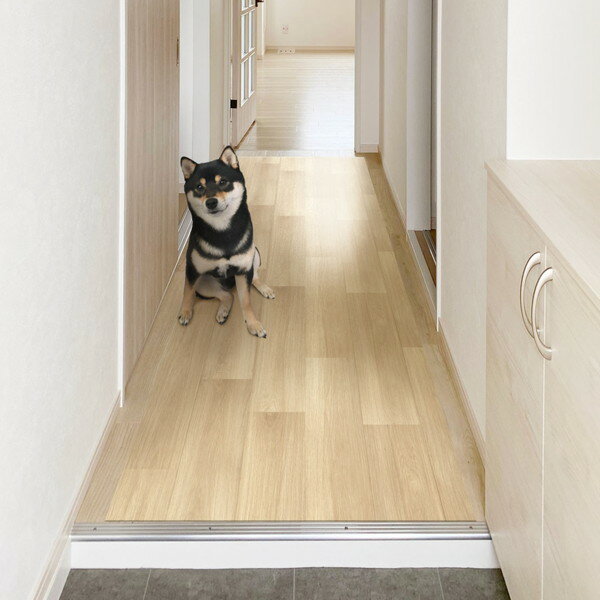明和グラビア PRO-0220 ペット廊下敷き PRO-0220 BE
