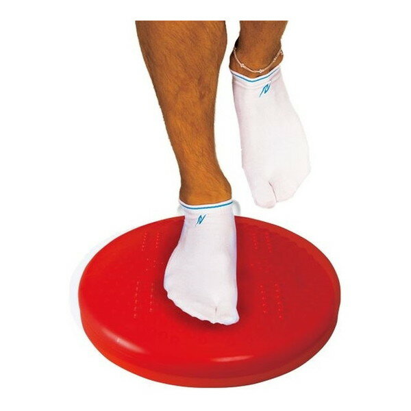 ニシスポーツ バランスディスク2 F 960 NT5875