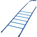 トーエイライト 学校体育器具 スピードラダーHG50-4M ブルー G1632(4)
