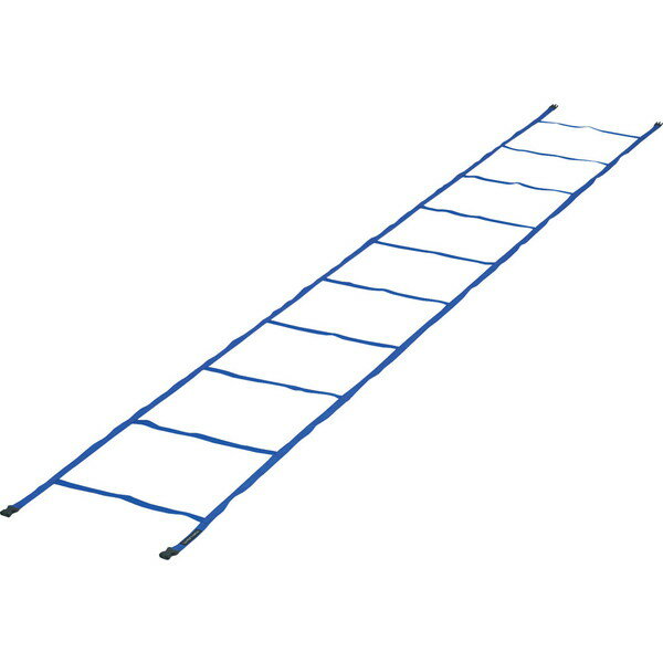 トーエイライト 学校体育器具 スピードラダー4m固定式 ブルー G1871