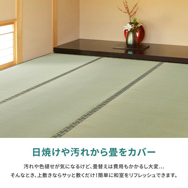 萩原 159058620 国産い草カーペット 天草 江戸間2畳 174×174 メーカー直送 [3]