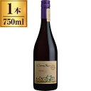コノスル オーガニック ピノ・ノワール / ヴィーニャ・コノスル 750ml 赤ワイン チリ 辛口 フルボディ