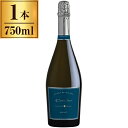 コノスル ブラン・ド・ブラン ブリュット 750ml スパークリングワイン チリ 辛口 ミディアムボディ