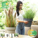 プランター 大型 おしゃれ 受け皿付き 植木鉢 深型 軽量 プラスチック 屋内 屋外用 プランター 深型 直径*高さ22.*14.5 28.7*21.5 cm ...