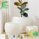 植木鉢 プランター グレーフラワー 5号 セメント製 底穴あり 受皿なし 陶器鉢 プランター 鉢 おしゃれ 観葉植物 円筒形鉢 セメント おしゃれ 鉢植え イン...
