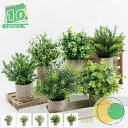300円OFFクーポン ミニ鉢植え植物 人工ユーカリ箱 ローズマリー緑 鉢植え 小さな観葉植物 屋内緑 卓上装飾 センターピース グリーン ミニ鉢植え 人工植毛...