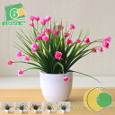 フェイクプランツ 2個パック 小さな人工人工鉢植え 鉢植え 植物 小さい 鉢植え 植物 装飾 人工 盆栽 本物そっくり ホーム オフィス 農家 バスルーム 寝室...
