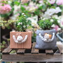 800円OFFクーポン 癒しプレゼント かわいい 置物ガーデンオブジェ ガーデンオーナメント 小型植木鉢 多肉容器 サボテン鉢 装飾プランター オシャレな置き物...