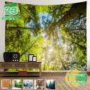 777円OFFクーポン 民族風タペストリー 壁掛け マンダラ 部屋飾り 布ポスター モダン 大判 リビングルーム ベッドルーム 窓 お店 個性ギフト多機能 新居...