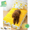 500円OFFクーポン 犬 ベッド ペットベッド ペットソファー ペットクッション 枕付き クッション性が 高反発 ふわふわ もこもこ 寒さ対策 高齢犬 子犬 ...