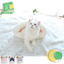 猫用寝袋 猫ベッド 夏用 冬用 おしゃれ 猫ハウス 猫用マット 保温防寒 ぐっすり眠れる 猫寝床 猫通用 暖かい布団 居心地が良いペットハウス ふわふわ ポケッ...