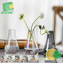 300円OFFクーポン 花瓶 フラワーベース ガラス かびん ガラスボトル 小さい 花びん 花器 ユニーク 北欧 一輪挿し 枝物 ガラス製 硝子 グレー 透明 クリア ガラスベース おしゃれ かわいい 可愛い インテリア 生花 ドライフラワー シンプル 北欧雑貨 オシャレ ギ Yj6x(3)