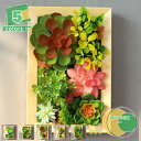 人工多肉植物 壁掛け 人工観葉植物 フェイクグリーン インテリアグリーン ウォールグリーン 木枠 多肉植物 フェイクグリーン 壁掛け フェイク 観葉植物 セット...