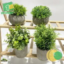 フェイクグリーン 4点セット 人工観葉植物 観葉植物 フェイク 観葉植物 鉢植え 造花 インテリアグリーン 可愛い 小さい観葉植物 インテリア飾り 父の日 母の...