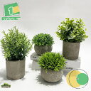 フェイクグリーン 4点セット 人工観葉植物 観葉植物 フェイク 観葉植物 鉢植え 造花 インテリアグリーン 可愛い 小さい観葉植物 インテリア飾り 父の日 母の...
