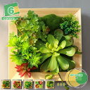 人工多肉植物 壁掛け 人工観葉植物 フェイクグリーン インテリアグリーン ウォールグリーン 木枠 多肉植物 フェイクグリーン 壁掛け フェイク 観葉植物 セット...