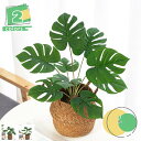 人工観葉植物 モンステラ フェイクグリーン 光触媒 インテリア 飾り 世話いらず 人気 おしゃれ 水やり不要 枯れない 人工樹木 フェイク植物 人気 人工樹木 ...