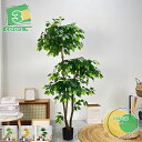 フェイクグリーン 大型 ガジュマル 高さ160cm 人工観葉植物 フェイク グリーン フェイクツリー 観葉植物 フェイク 室内 玄関先 リビング ベッドルーム ...