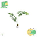 人工植物 人工観葉植物 フェイクグリーン 大型 人工観葉植物 フェイクグリーン 室内 お部屋 雰囲気作り リアル 鉢付き お洒落 リビング 玄関 インテリア 水...
