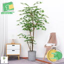 人工紅葉 もみじ フェイクグリーン 人工観葉植物 フェイク観葉植物 ミニ 室内用 シンプル 本棚 玄関 オフィス 室内 インテリア 自宅 オフィス 隅 リアル ...